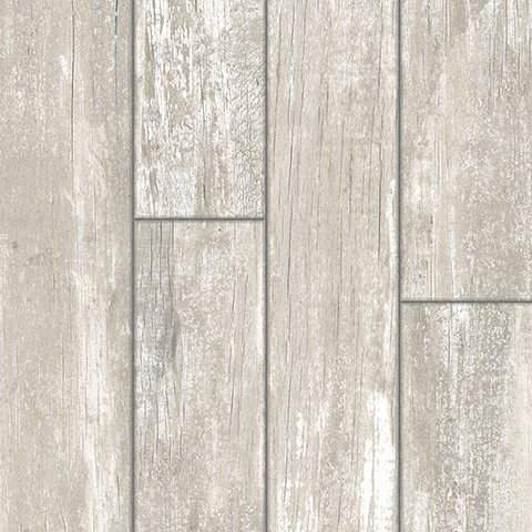 CERAMICA BILOBA NATURAL 51x51 ALLPA 1ra